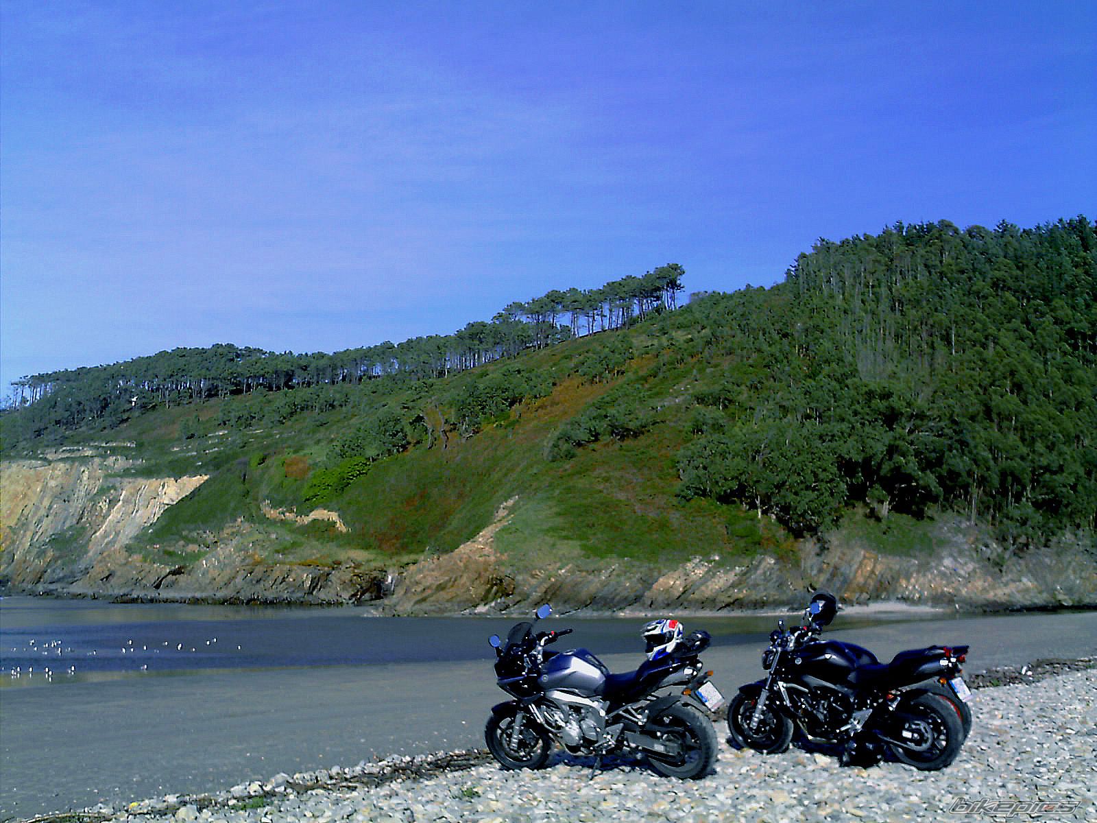 Bike Photo 733917