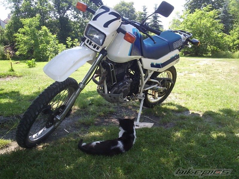 Bike Photo 734065