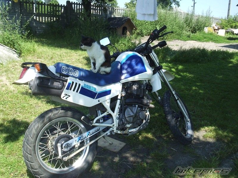 Bike Photo 734066