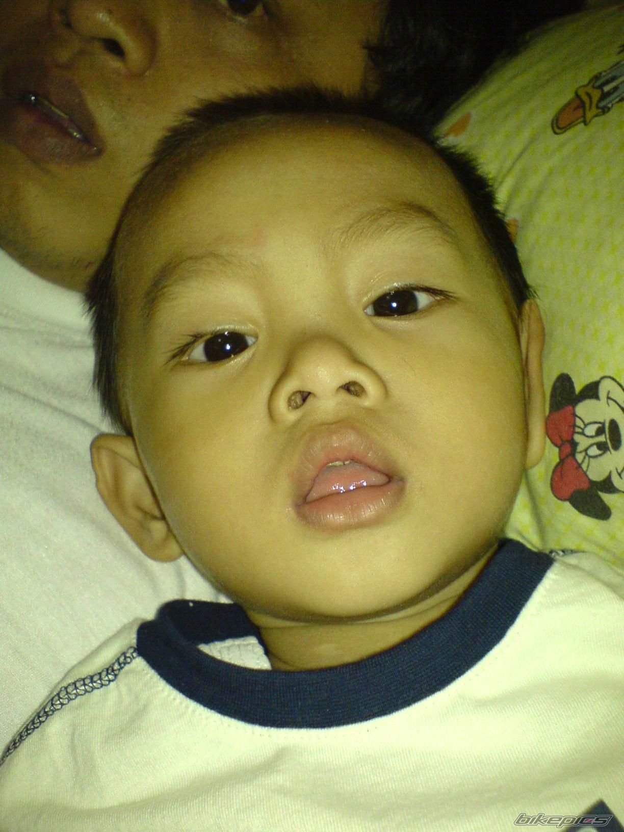 Photo 734447