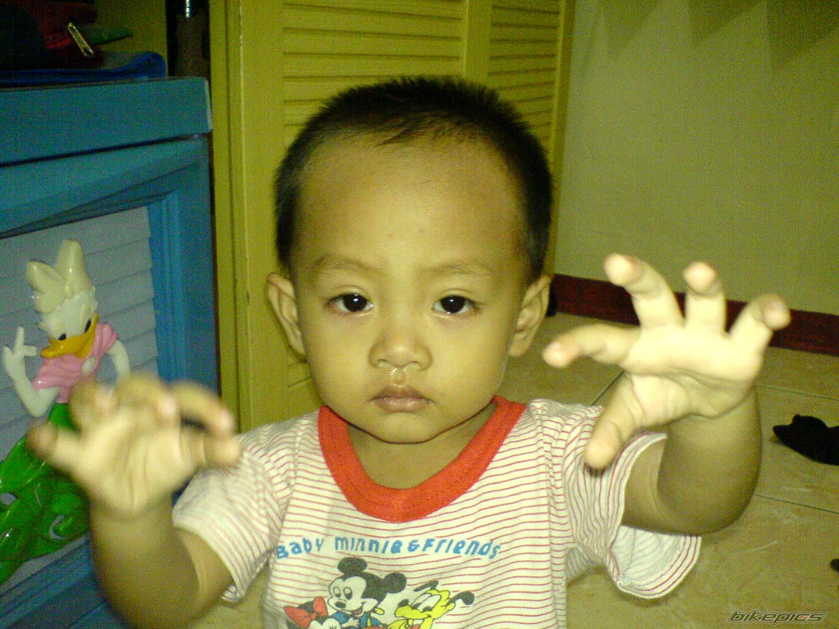 Photo 734448