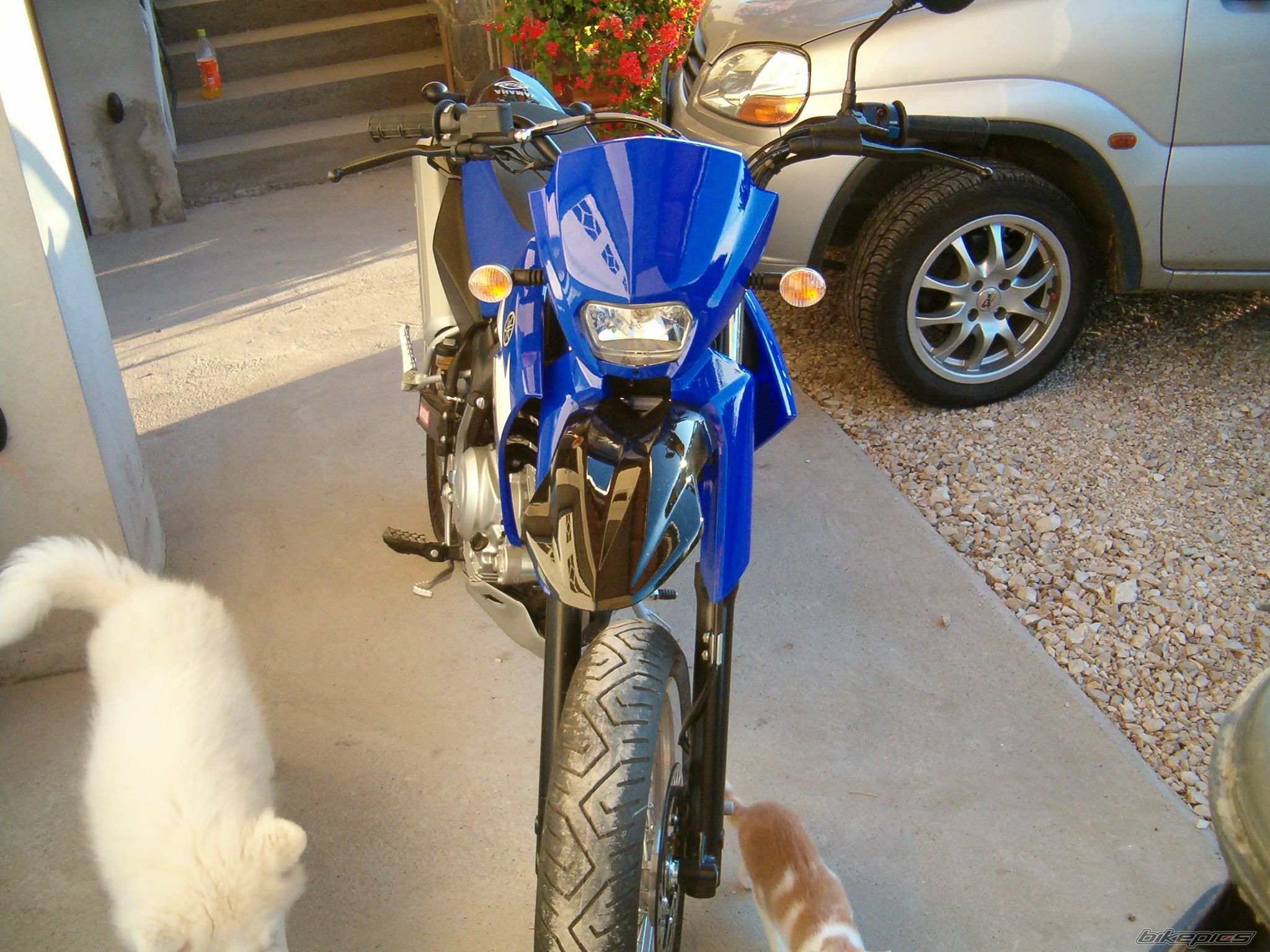 Bike Photo 734773