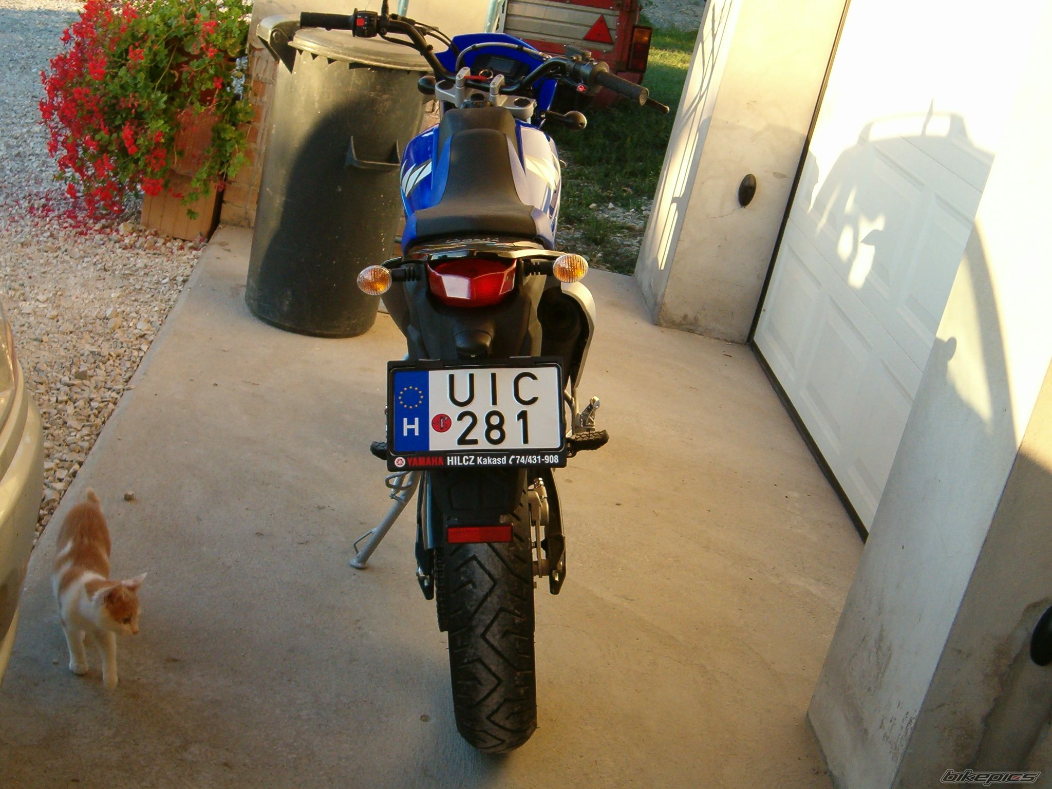 Bike Photo 734781