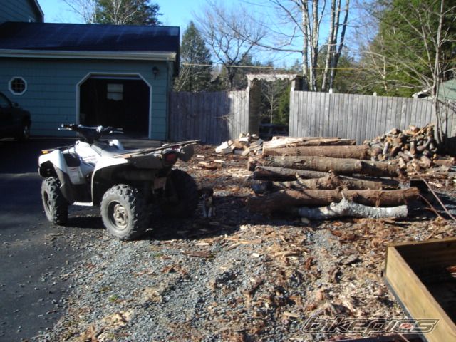 Photo 734991