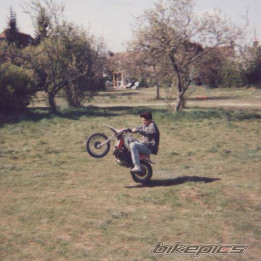 Photo 73502