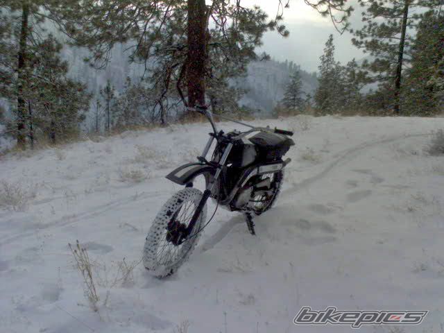 Photo 735061