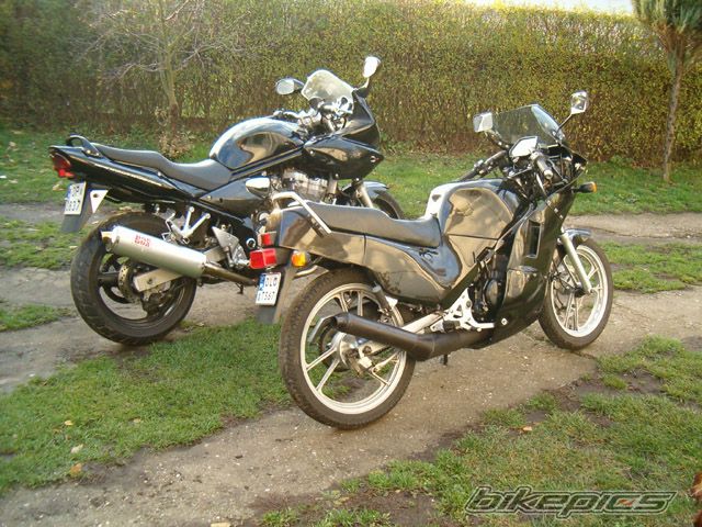 Photo 735390