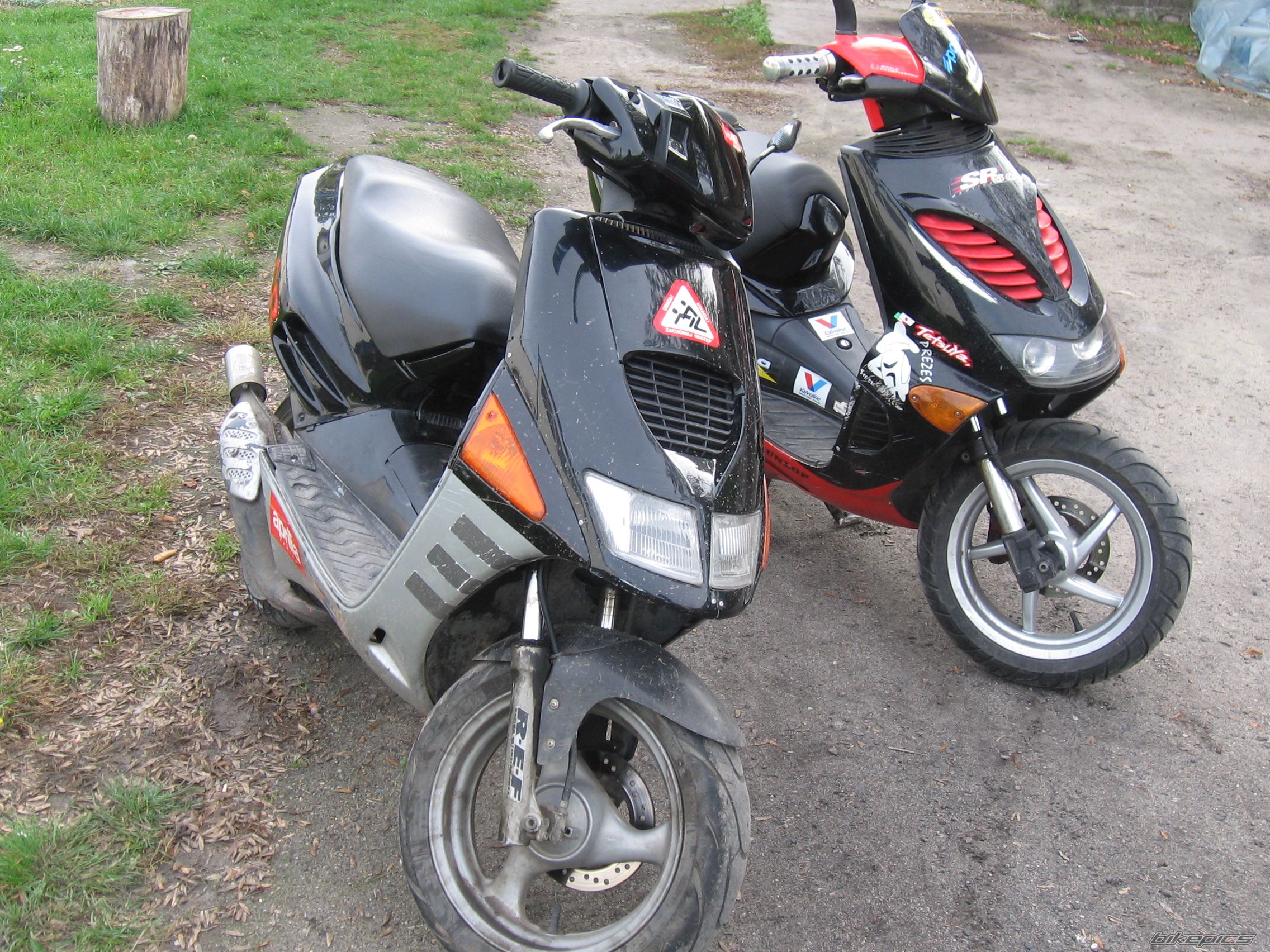 Photo 735572