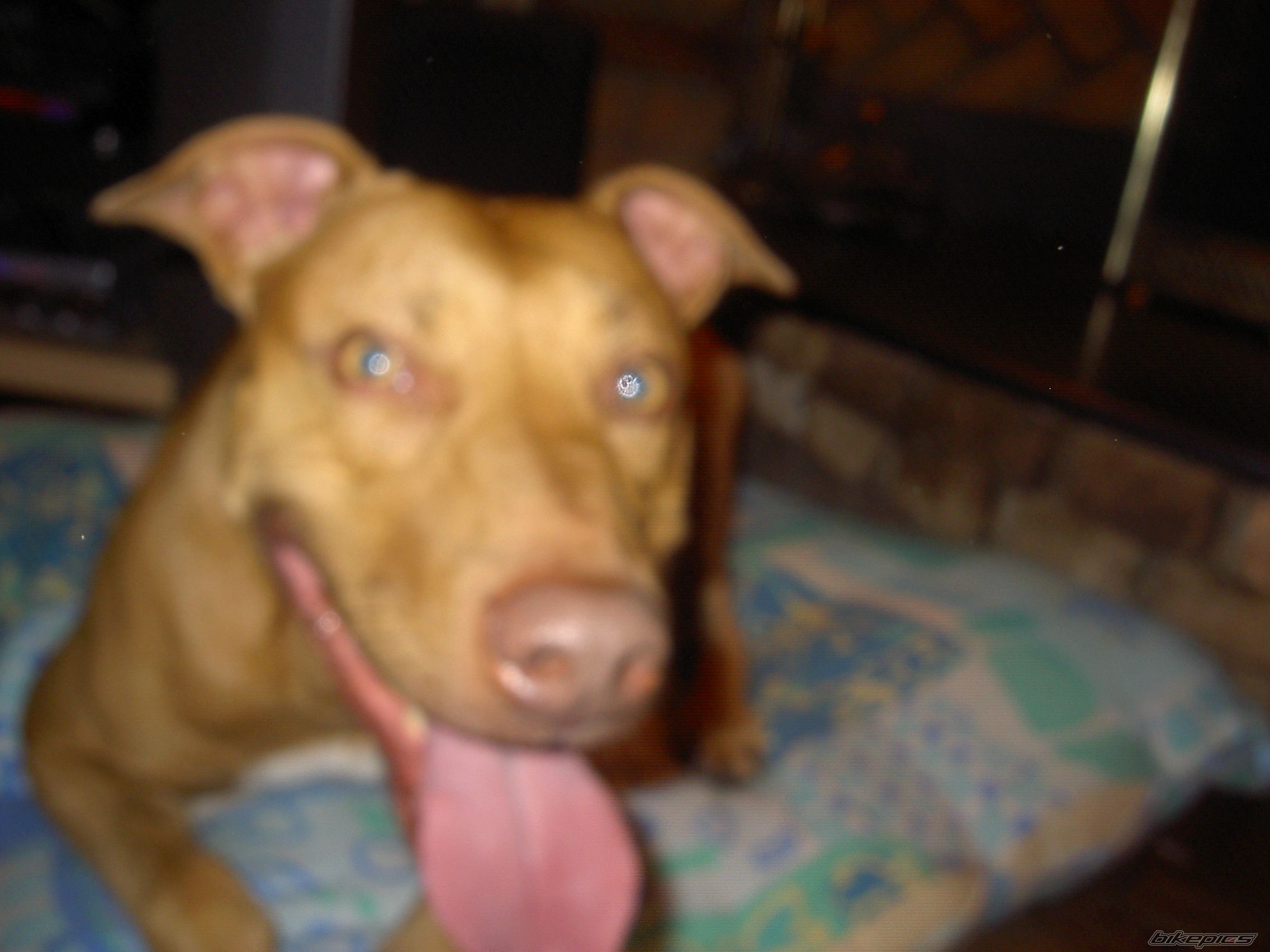 Photo 735677