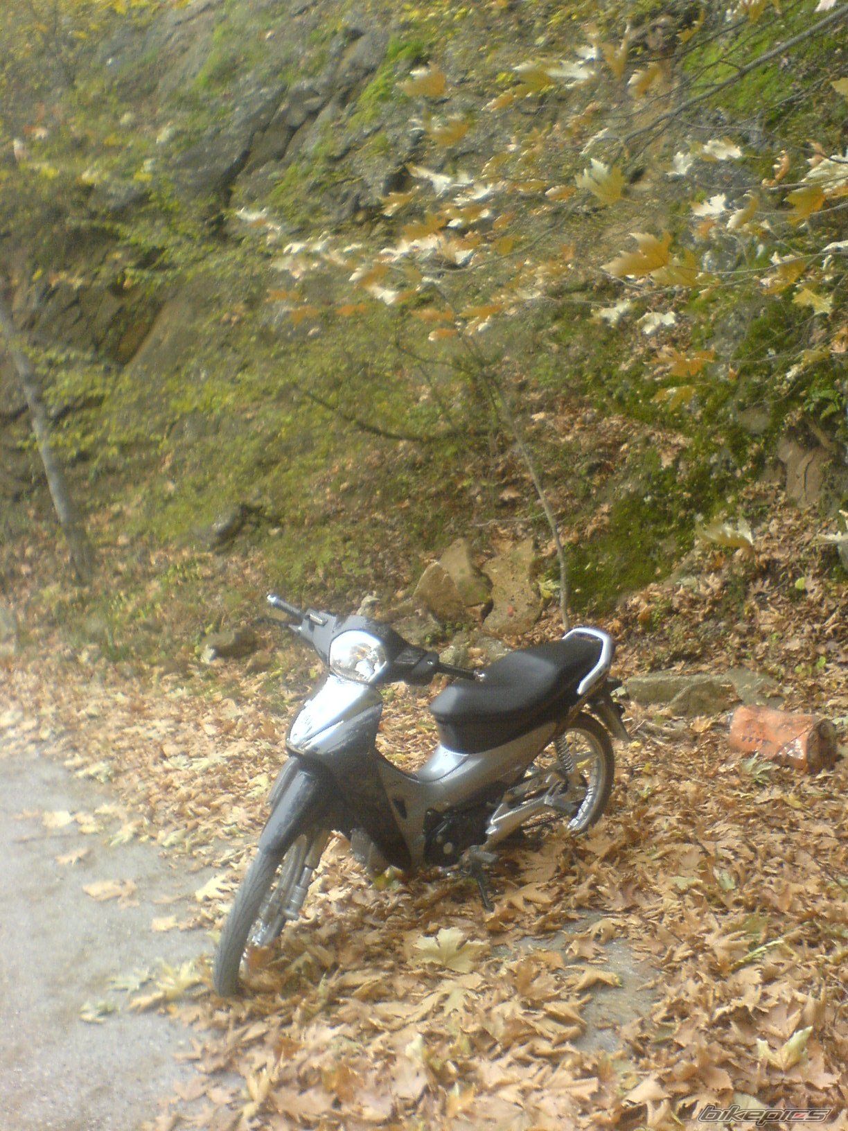Photo 735959
