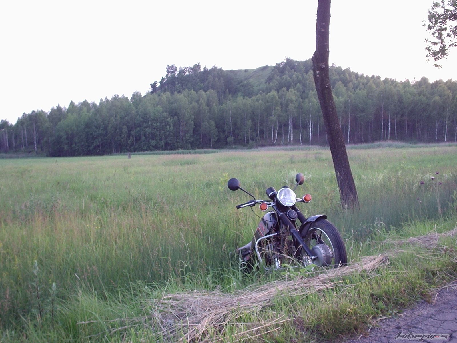 Bike Photo 736100