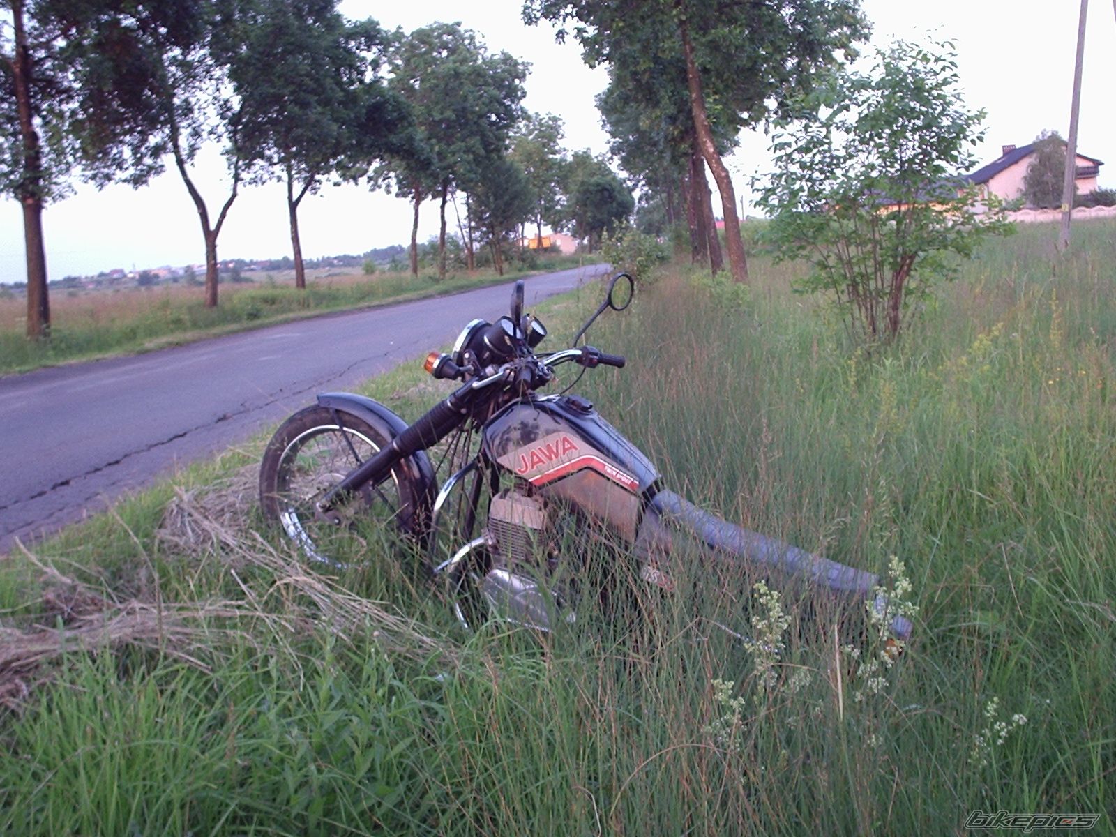 Bike Photo 736106