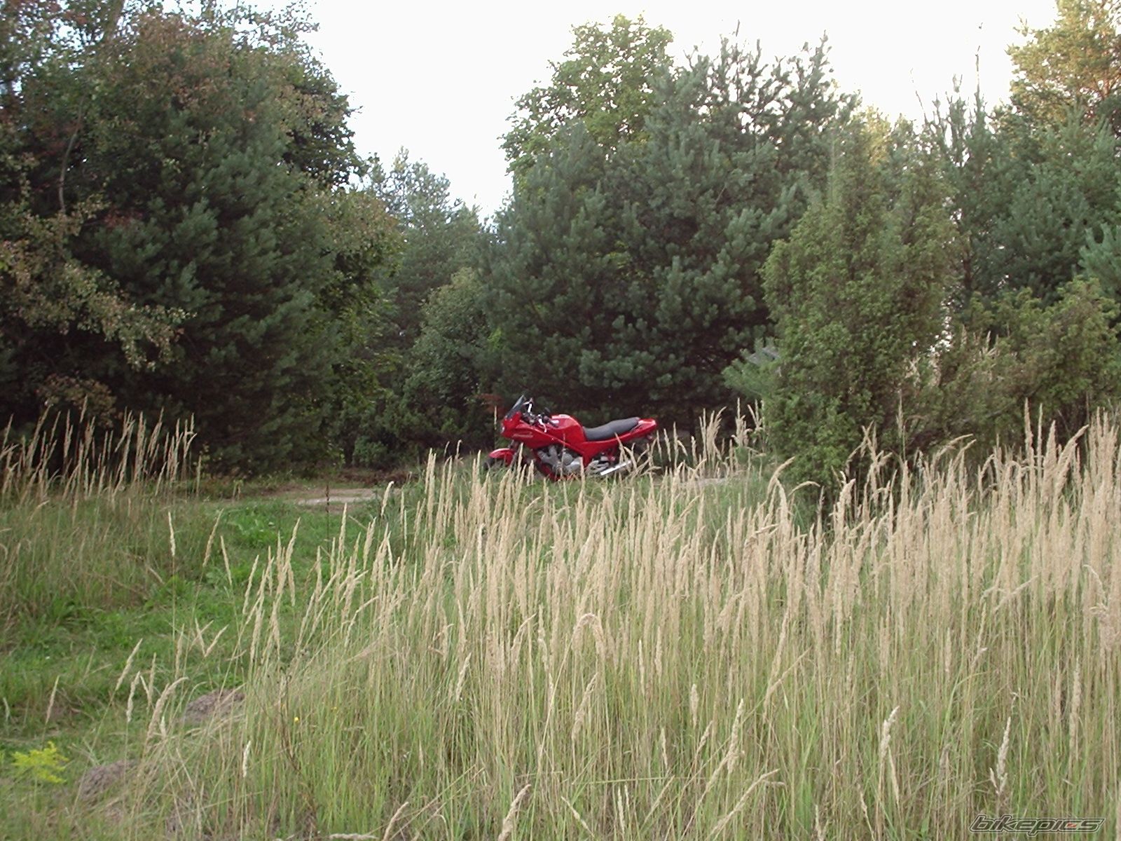 Bike Photo 736195