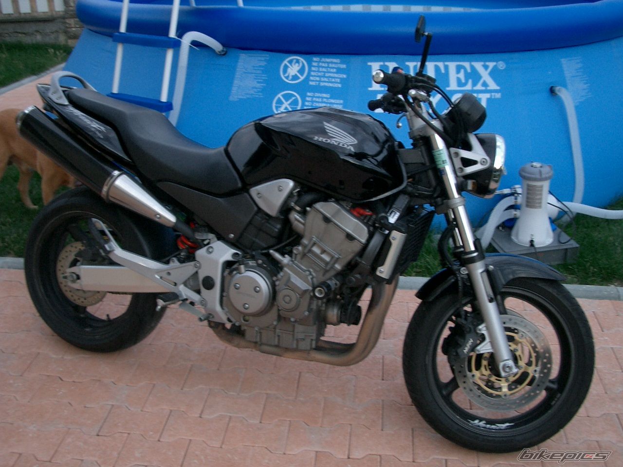 Bike Photo 736248
