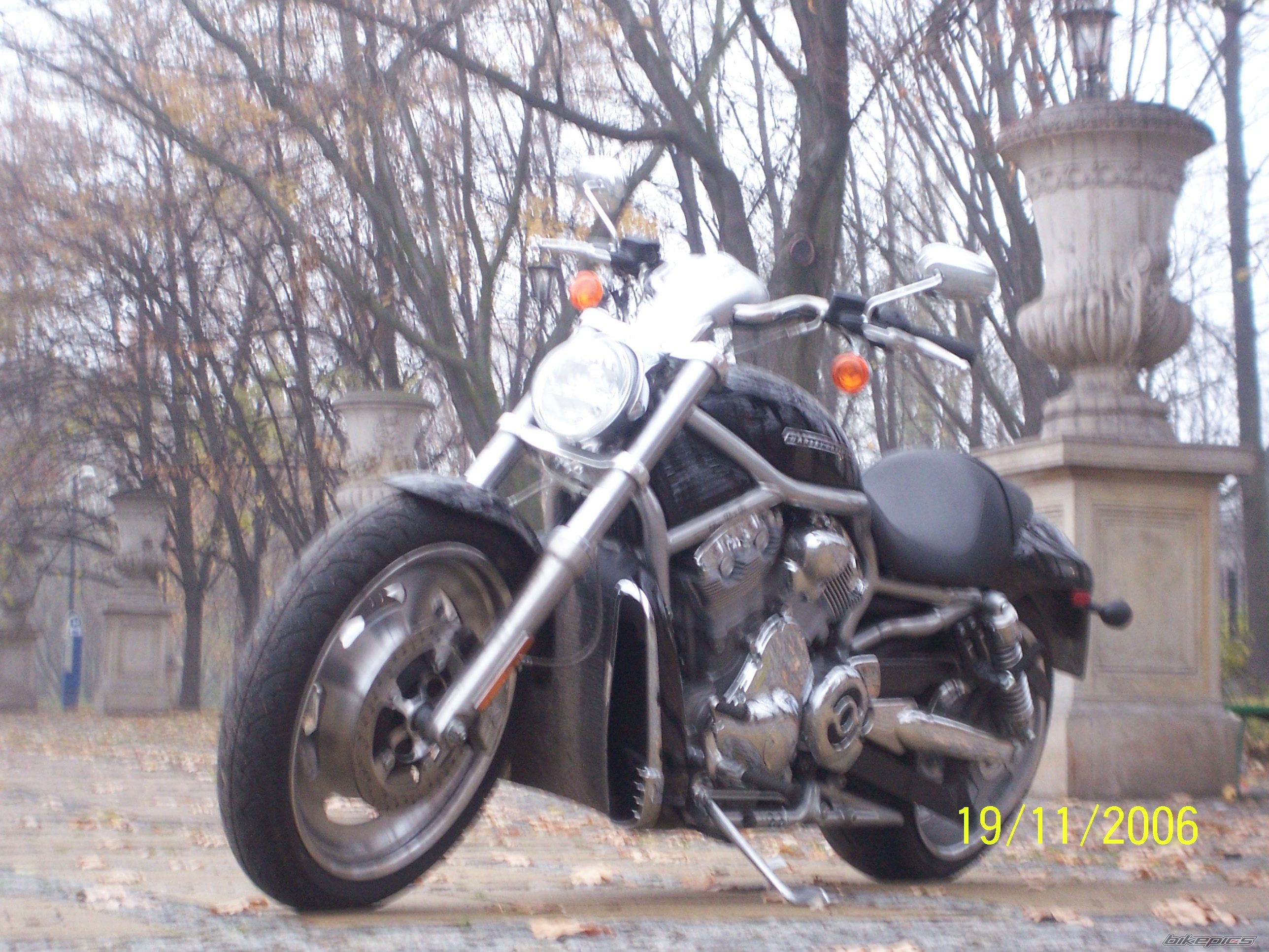 Photo 736308