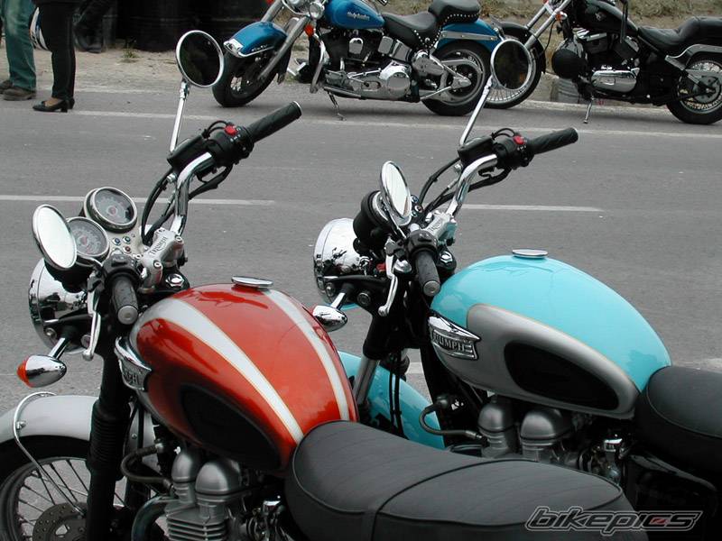 Photo 73635