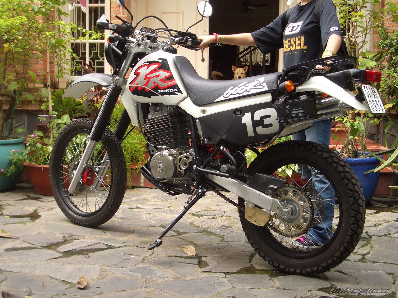 Bike Photo 736504