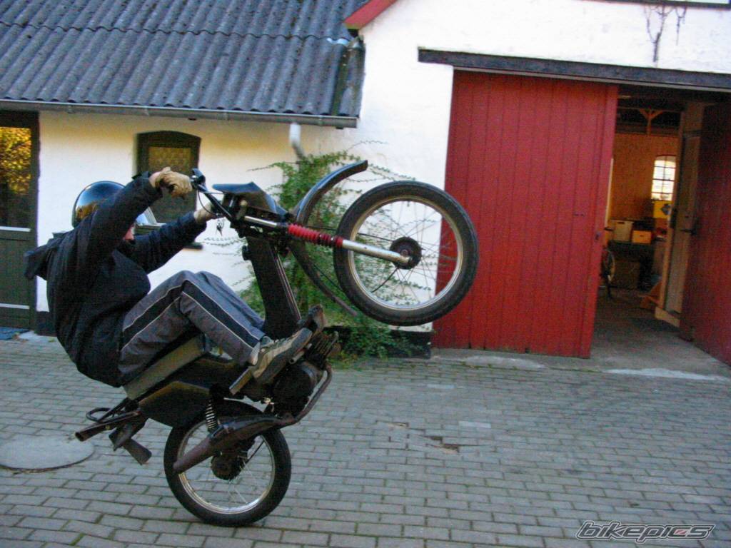 Photo 73657