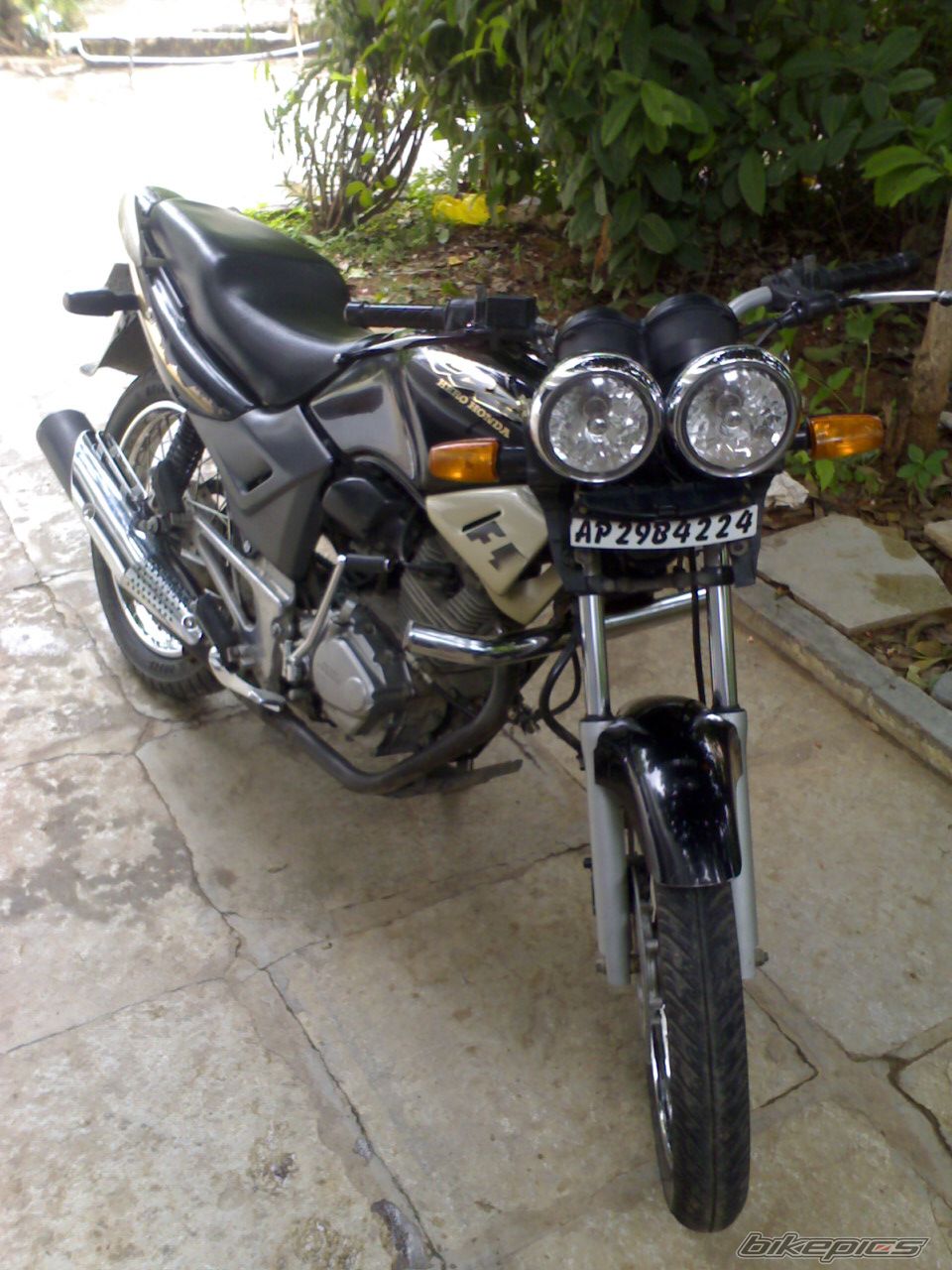 Photo 736585
