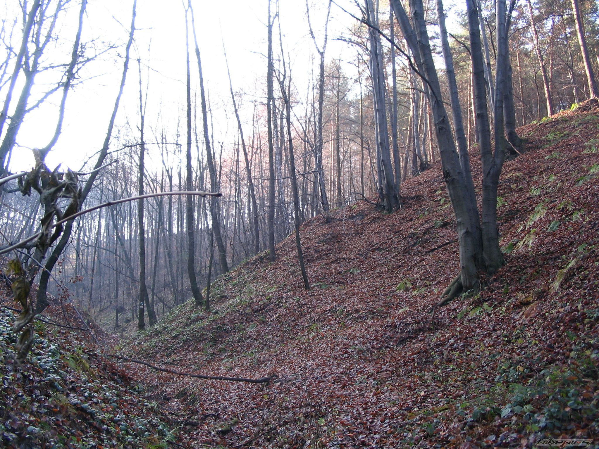Photo 736795