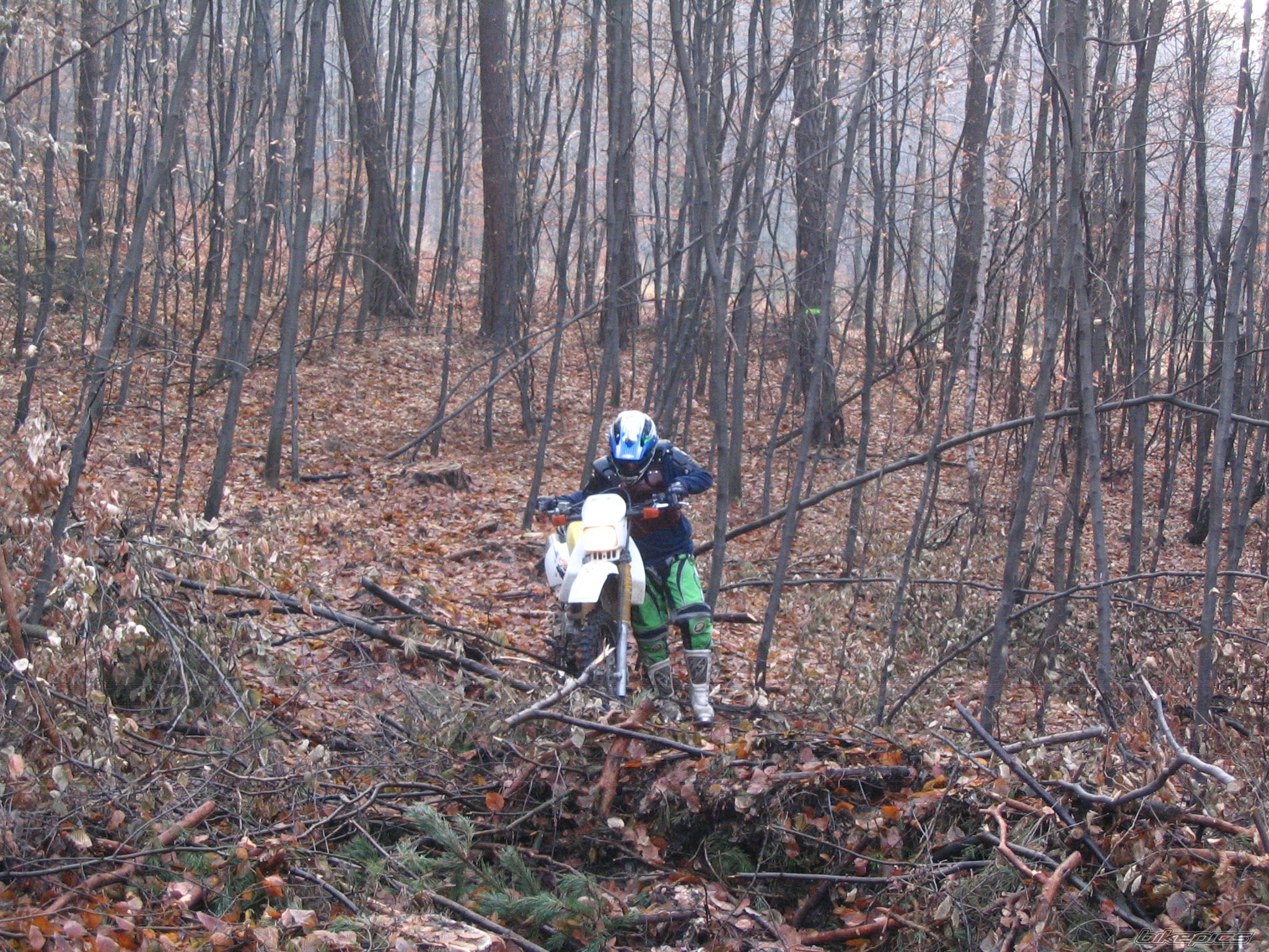 Photo 736888