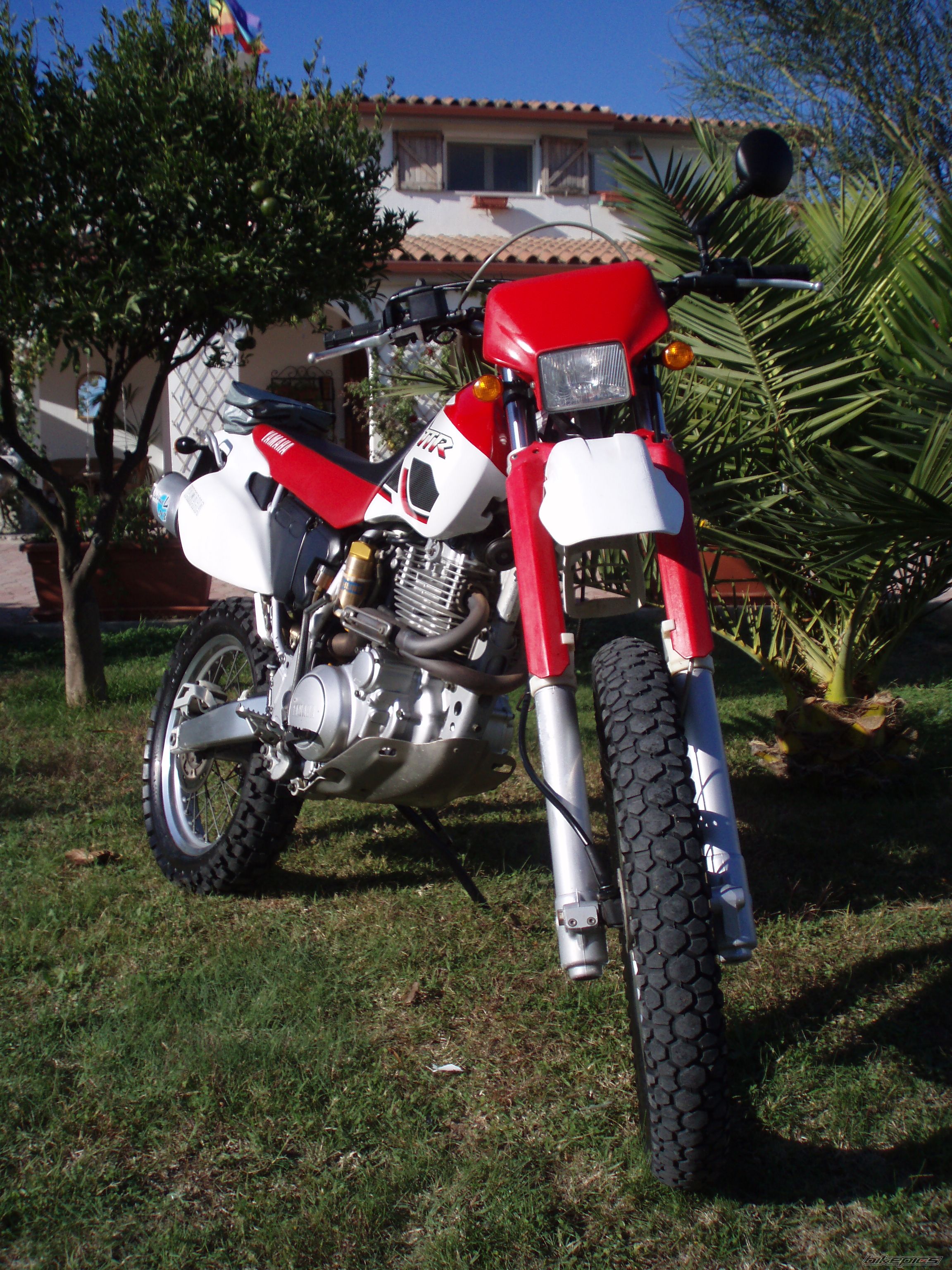 Photo 736921