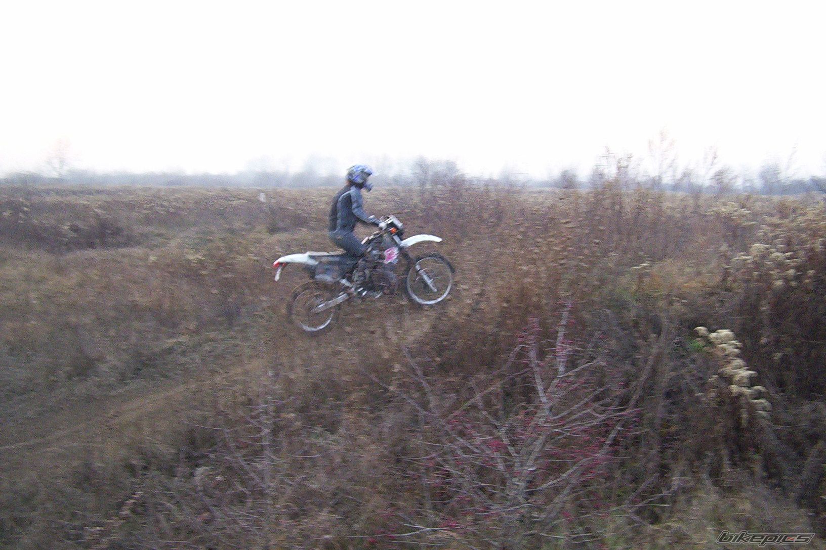 Photo 737025