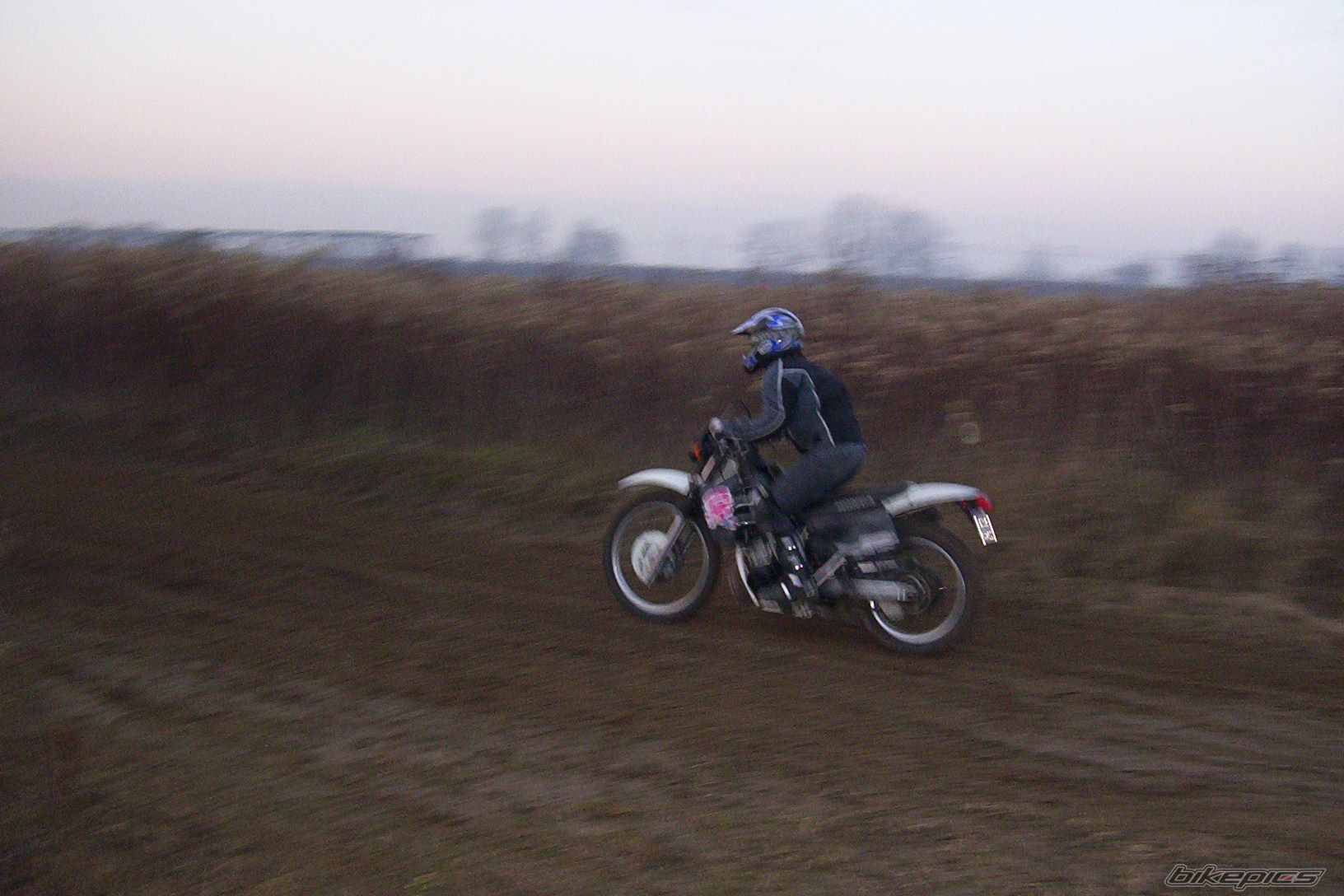Photo 737027