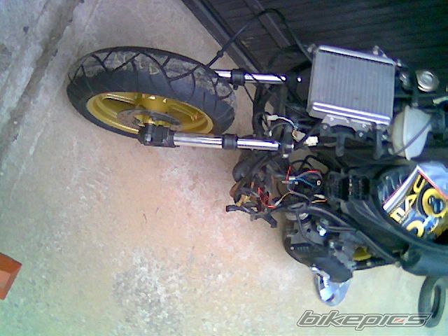 Photo 737265
