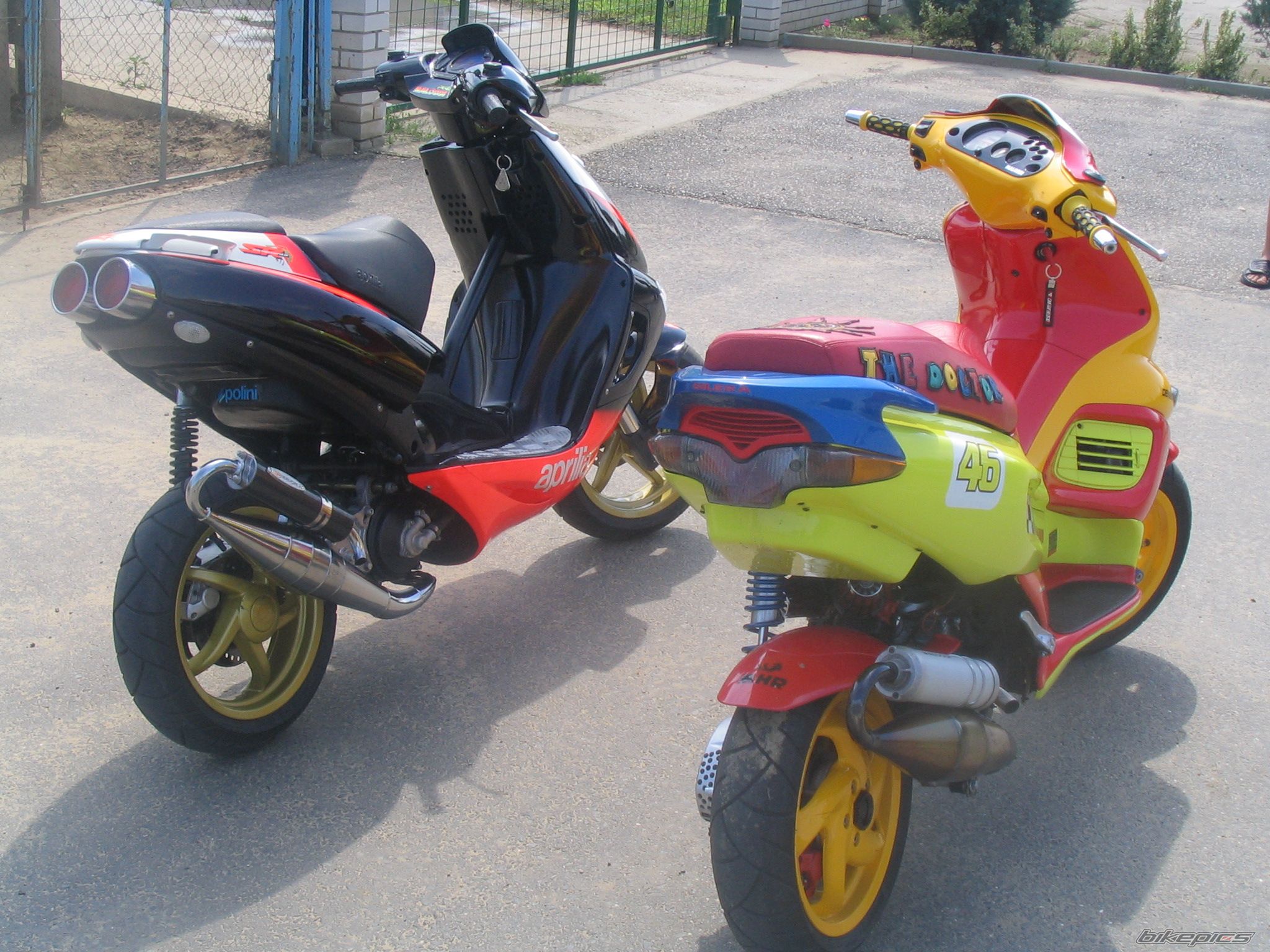 Photo 737281
