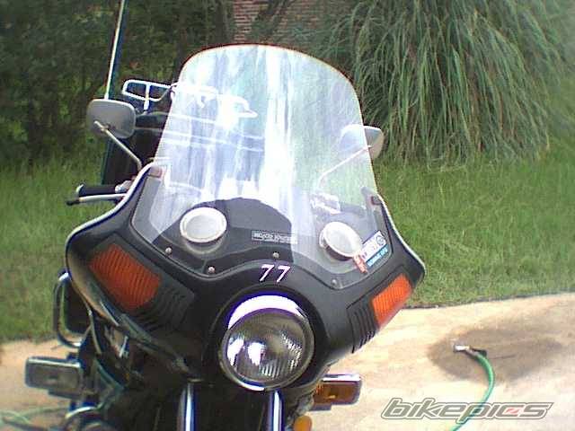 Photo 7373
