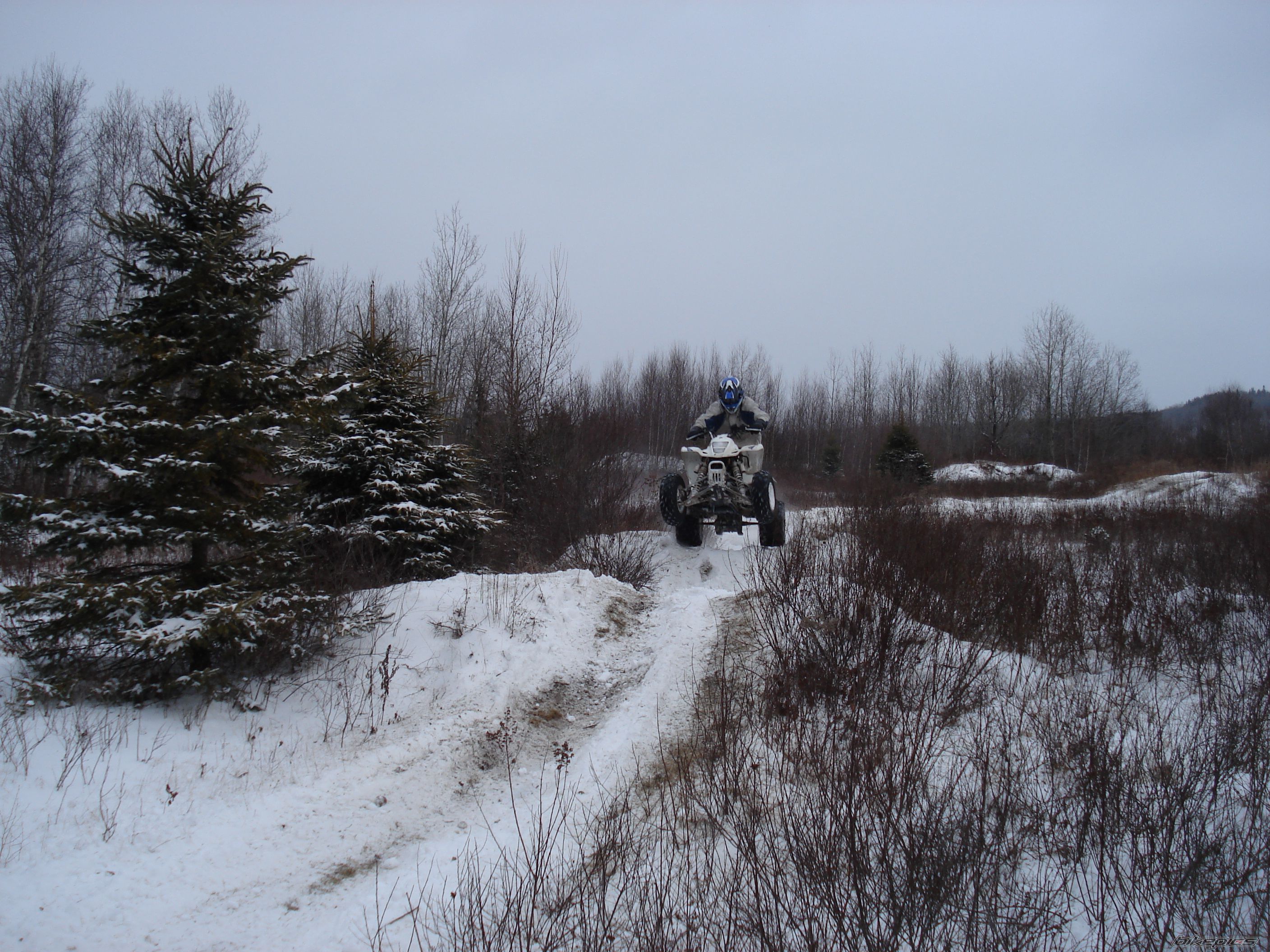 Photo 737341