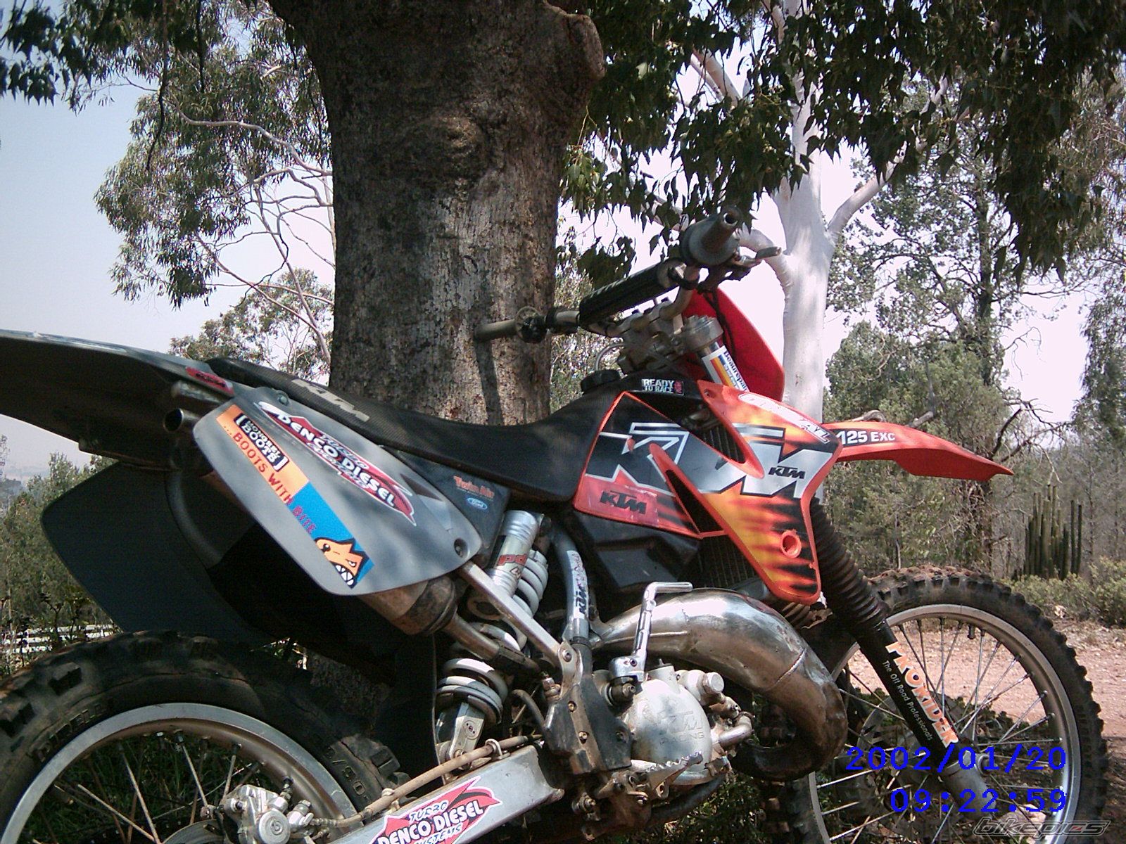 Photo 737450