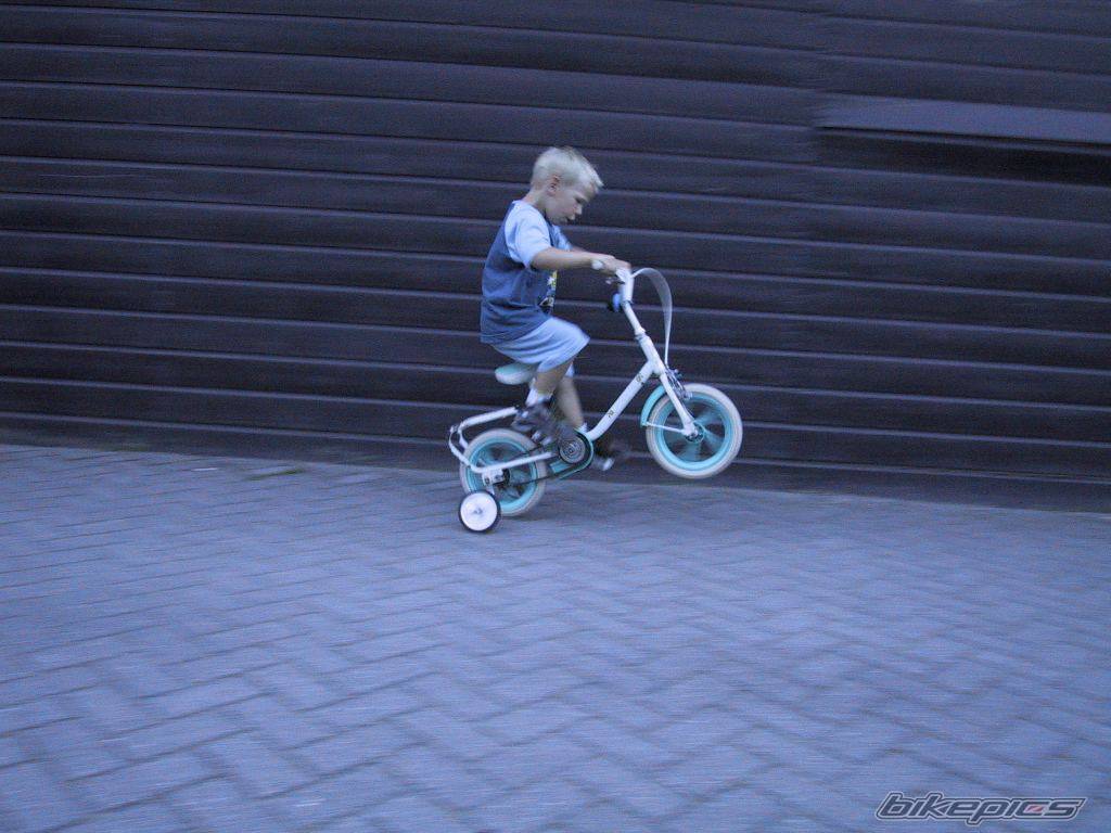 Photo 7375