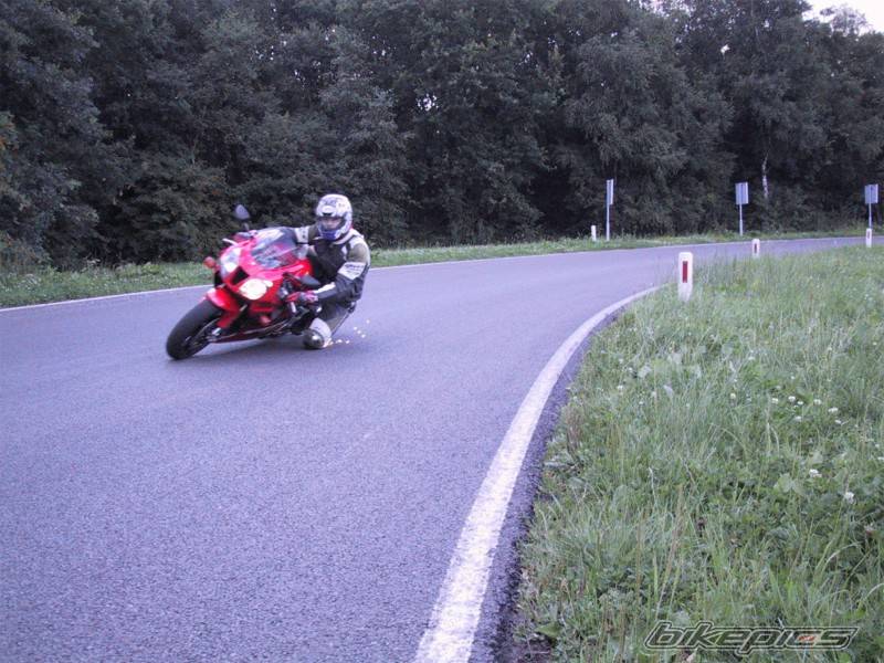 Photo 7376