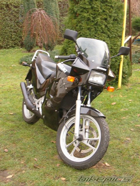 Photo 737628