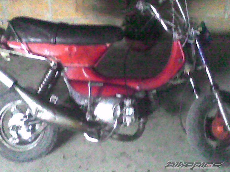 Bike Photo 737659