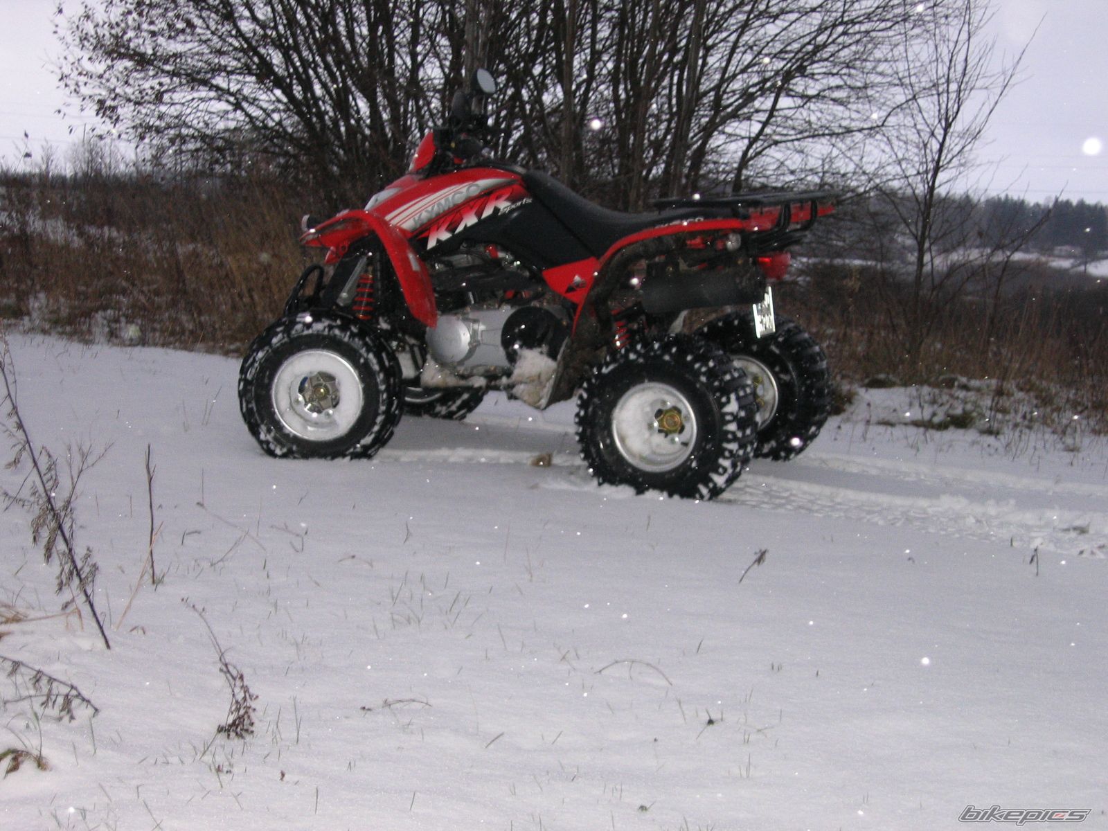 Photo 737760