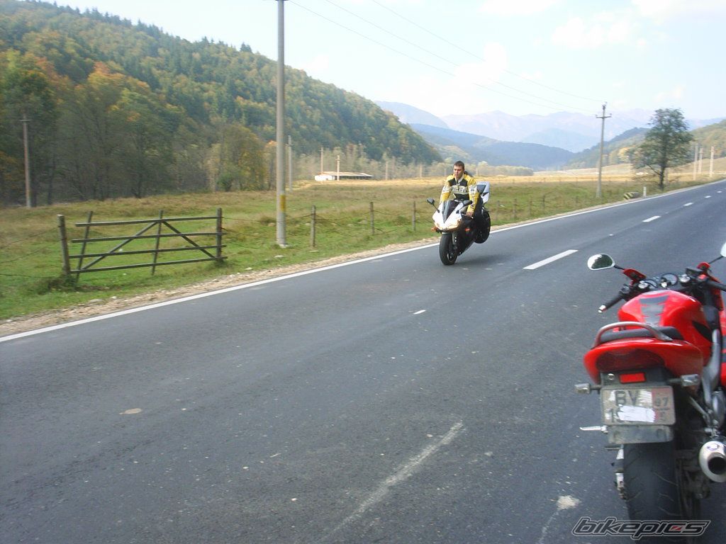 Photo 738017
