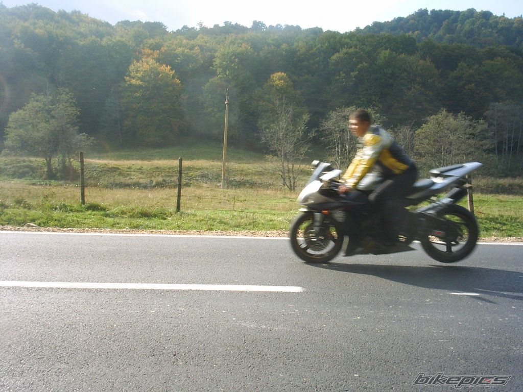 Photo 738033