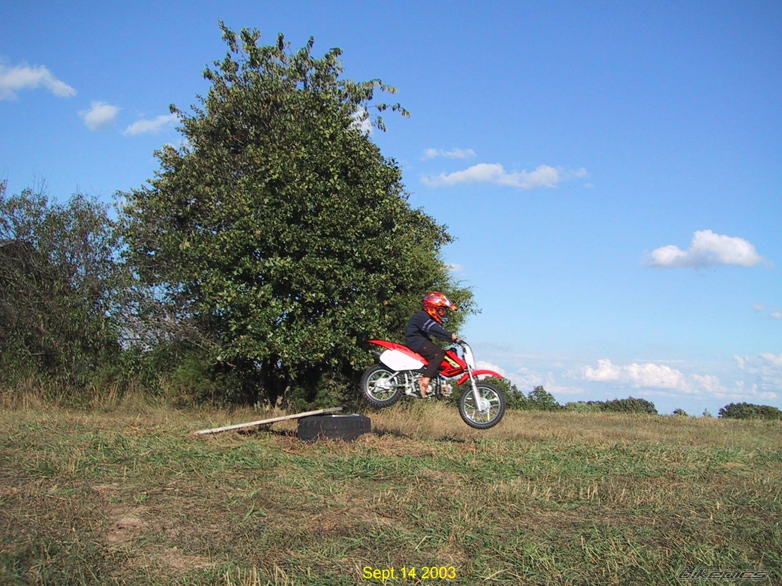 Photo 73807