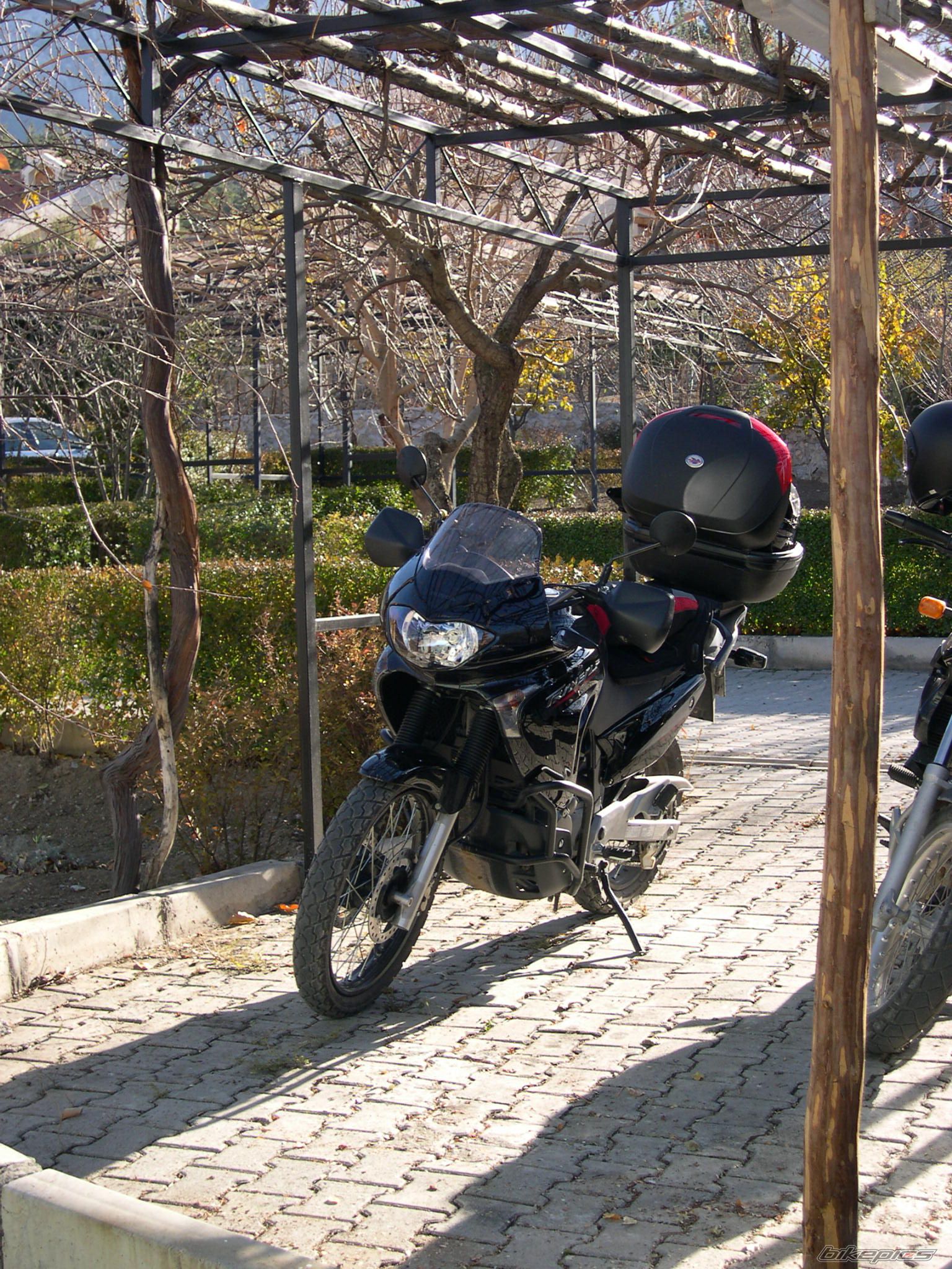 Bike Photo 738542