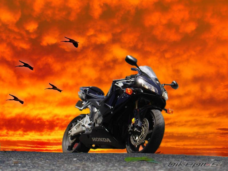 Bike Photo 738625