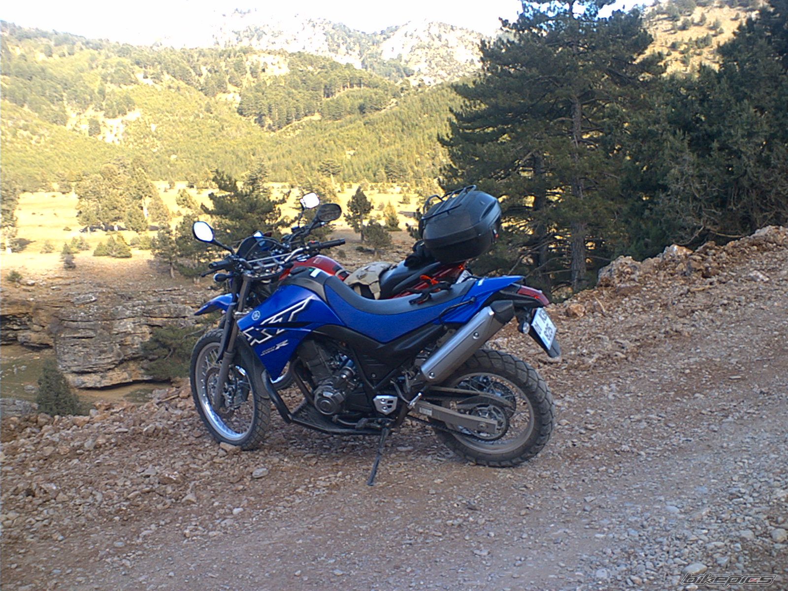 Photo 738773