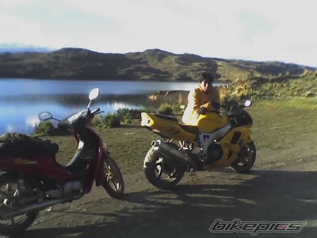 Photo 738993
