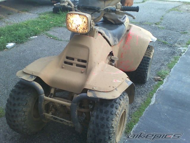 Photo 739244