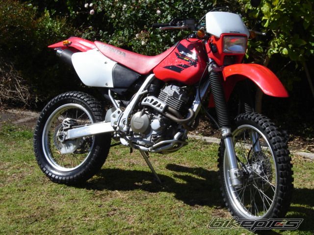 Bike Photo 739264