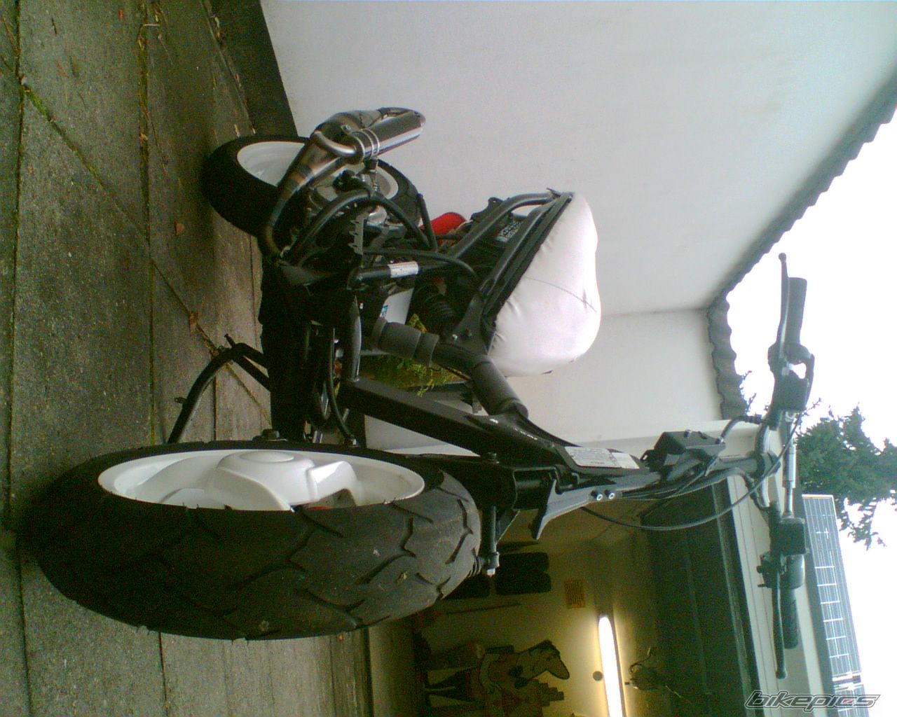 Photo 739481