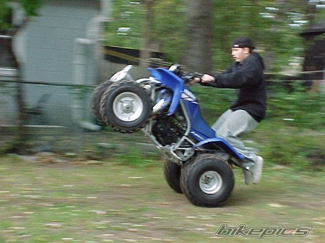 Photo 73969