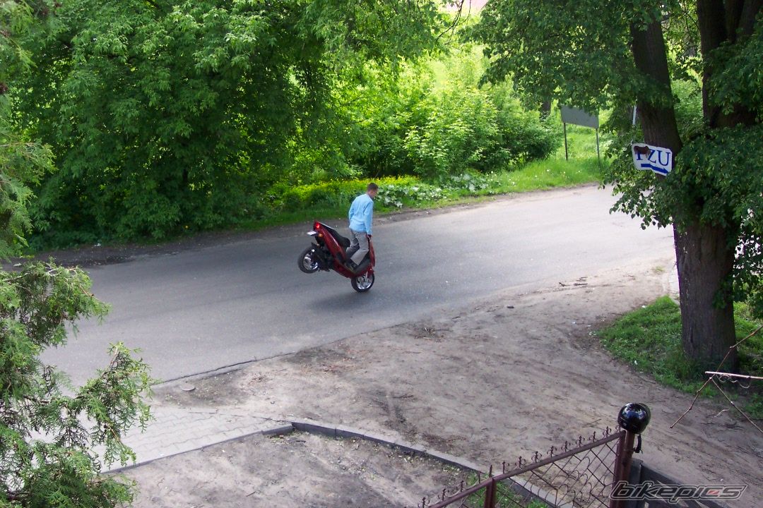 Photo 739725